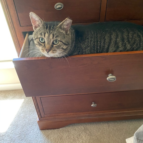 Meet your Posher, Kim - Picture 13 of 16